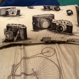 Bed pillow or couch pillow.